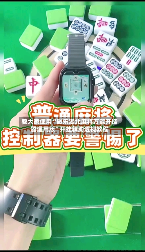 教大家使用“微乐湖北麻将万能开挂器通用版	”开挂辅助透视教程-第3张图片