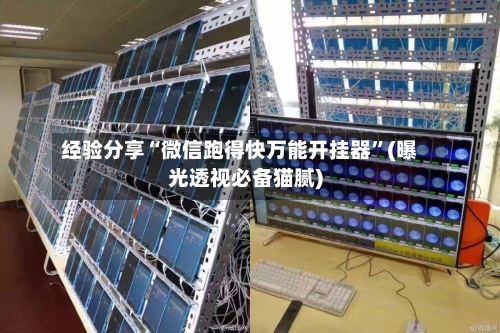 经验分享“微信跑得快万能开挂器”(曝光透视必备猫腻)-第2张图片