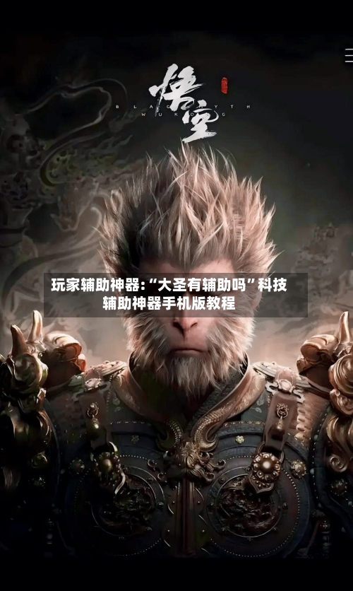 玩家辅助神器:“大圣有辅助吗	”科技辅助神器手机版教程-第2张图片
