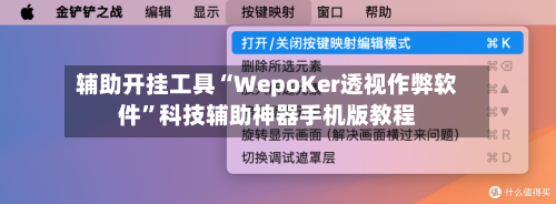 辅助开挂工具“WepoKer透视作弊软件”科技辅助神器手机版教程-第2张图片