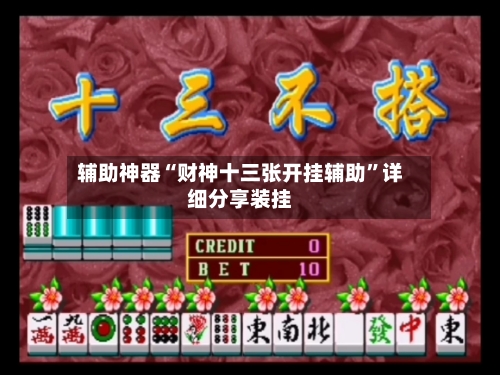 辅助神器“财神十三张开挂辅助”详细分享装挂-第2张图片