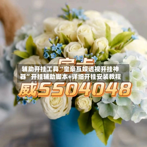 辅助开挂工具“皇豪互娱透视开挂神器”开挂辅助脚本+详细开挂安装教程-第1张图片