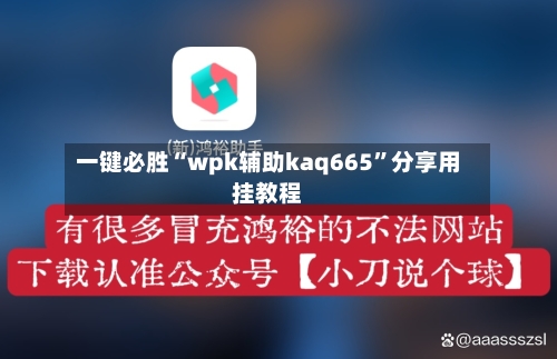 一键必胜“wpk辅助kaq665”分享用挂教程-第2张图片