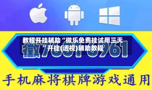 教程开挂辅助“微乐免费挂试用三天”开挂(透视)辅助教程-第3张图片