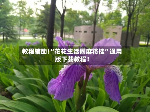 教程辅助!“花花生活圈麻将挂”通用版下载教程！-第2张图片