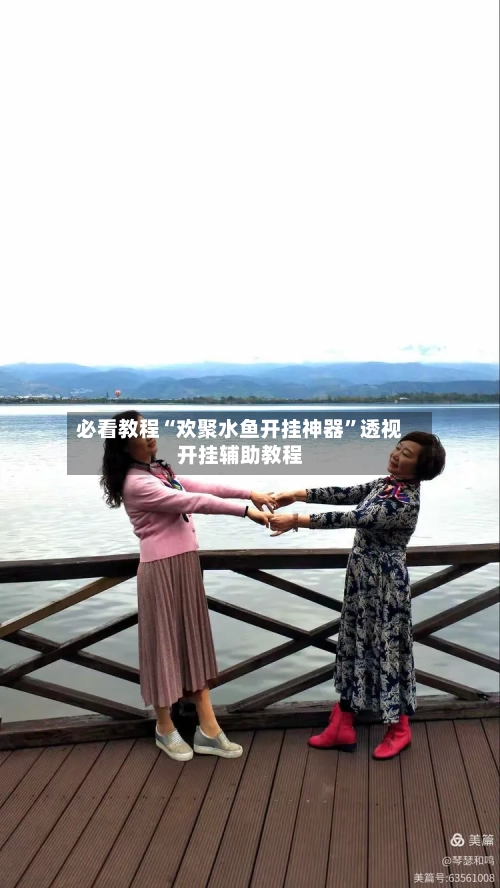 必看教程“欢聚水鱼开挂神器”透视开挂辅助教程-第2张图片