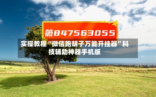 实操教程“微信跑胡子万能开挂器”科技辅助神器手机版-第1张图片