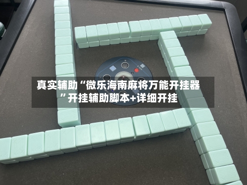 真实辅助“微乐海南麻将万能开挂器”开挂辅助脚本+详细开挂-第3张图片