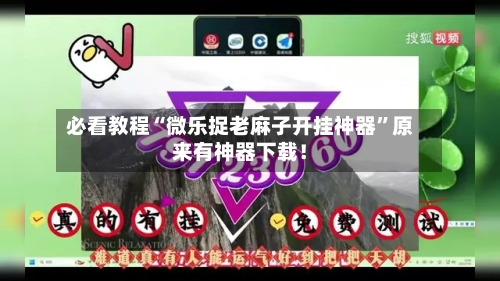 必看教程“微乐捉老麻子开挂神器	”原来有神器下载！-第1张图片