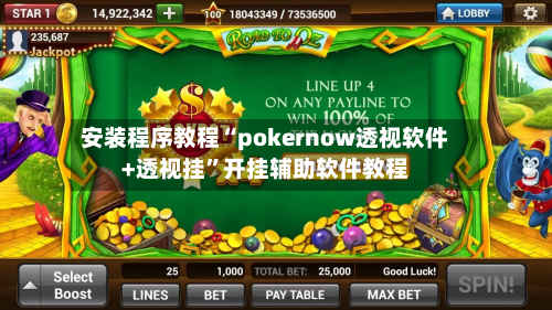 安装程序教程“pokernow透视软件+透视挂”开挂辅助软件教程-第3张图片