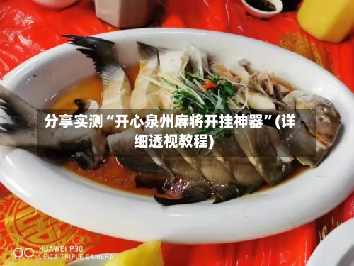 分享实测“开心泉州麻将开挂神器”(详细透视教程)-第3张图片