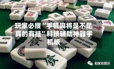 玩家必搜“手机麻将是不是真的有挂”科技辅助神器手机版-第3张图片