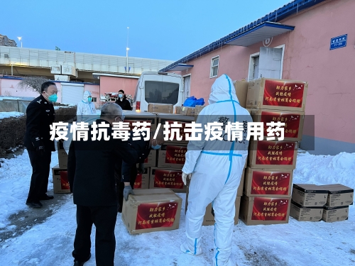 疫情抗毒药/抗击疫情用药-第1张图片