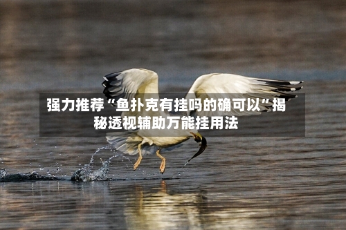 强力推荐“鱼扑克有挂吗的确可以”揭秘透视辅助万能挂用法-第1张图片