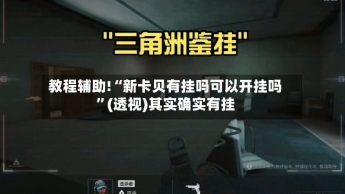 教程辅助!“新卡贝有挂吗可以开挂吗”(透视)其实确实有挂-第2张图片