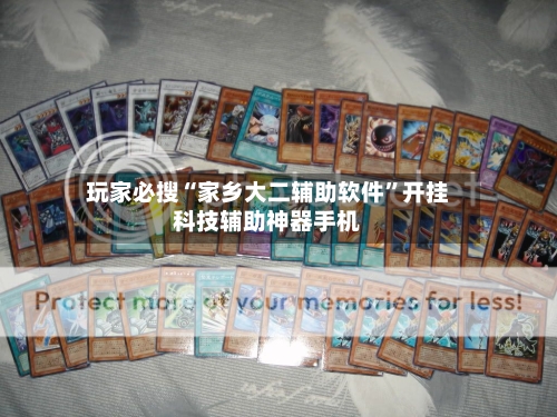 玩家必搜“家乡大二辅助软件”开挂科技辅助神器手机-第2张图片