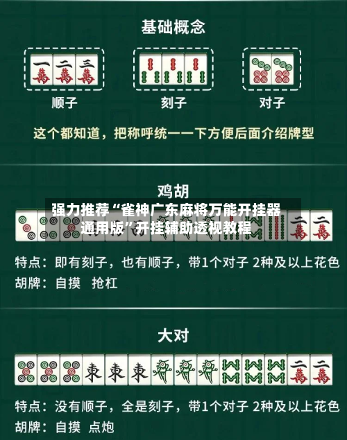 强力推荐“雀神广东麻将万能开挂器通用版”开挂辅助透视教程-第3张图片