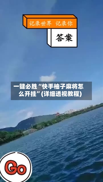 一键必胜“快手柚子麻将怎么开挂	”(详细透视教程)-第2张图片