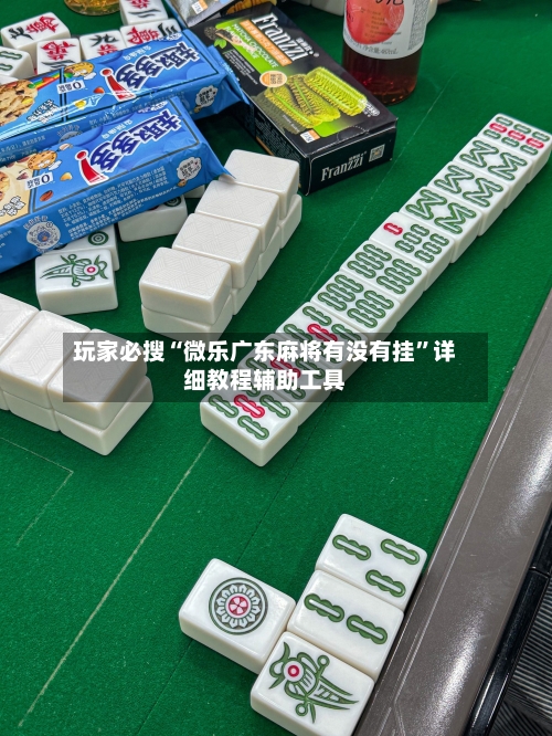 玩家必搜“微乐广东麻将有没有挂”详细教程辅助工具-第1张图片
