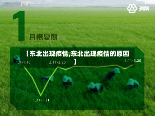 【东北出现疫情,东北出现疫情的原因】-第2张图片