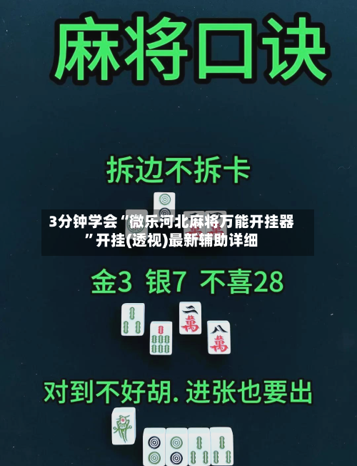 3分钟学会“微乐河北麻将万能开挂器”开挂(透视)最新辅助详细-第2张图片