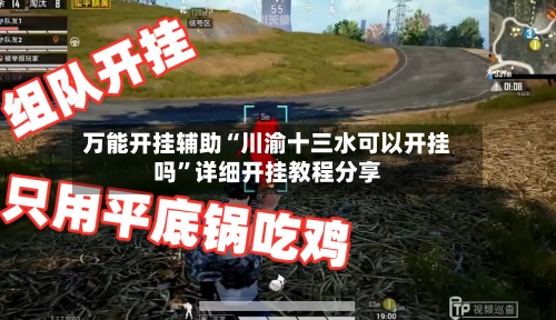 万能开挂辅助“川渝十三水可以开挂吗”详细开挂教程分享-第2张图片