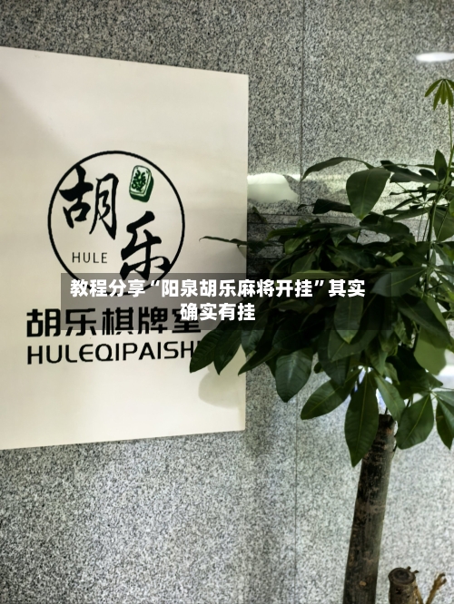 教程分享“阳泉胡乐麻将开挂”其实确实有挂-第3张图片