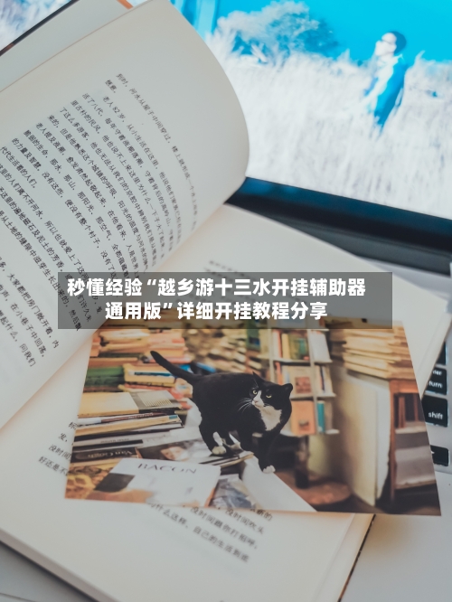 秒懂经验“越乡游十三水开挂辅助器通用版”详细开挂教程分享-第2张图片