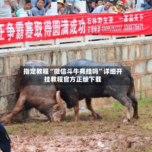 指定教程“微信斗牛有挂吗”详细开挂教程官方正版下载-第2张图片