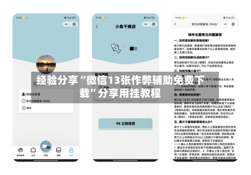 经验分享“微信13张作弊辅助免费下载”分享用挂教程-第2张图片