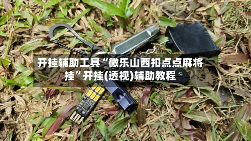 开挂辅助工具“微乐山西扣点点麻将挂”开挂(透视)辅助教程-第2张图片