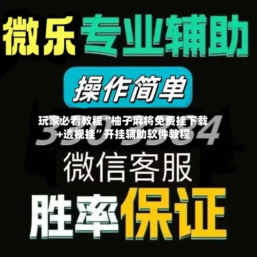 玩家必看教程“柚子麻将免费挂下载+透视挂”开挂辅助软件教程-第2张图片
