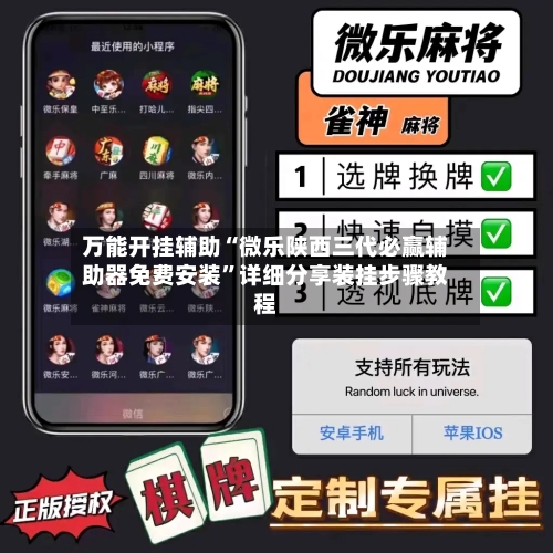 万能开挂辅助“微乐陕西三代必赢辅助器免费安装”详细分享装挂步骤教程-第2张图片