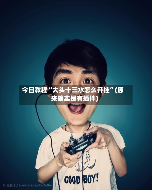 今日教程“大头十三水怎么开挂”(原来确实是有插件)-第3张图片