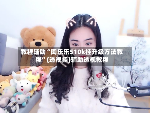 教程辅助“闽乐乐510k挂升级方法教程”(透视挂)辅助透视教程-第1张图片