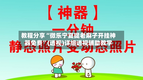 教程分享“微乐宁夏捉老麻子开挂神器免费	”(透视)详细透视辅助教学-第2张图片