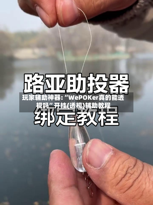 玩家辅助神器:“WePOKer真的能透视吗”开挂(透视)辅助教程-第1张图片