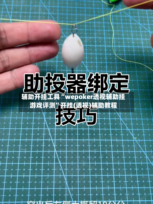 辅助开挂工具“wepoker透视辅助挂游戏评测”开挂(透视)辅助教程-第2张图片