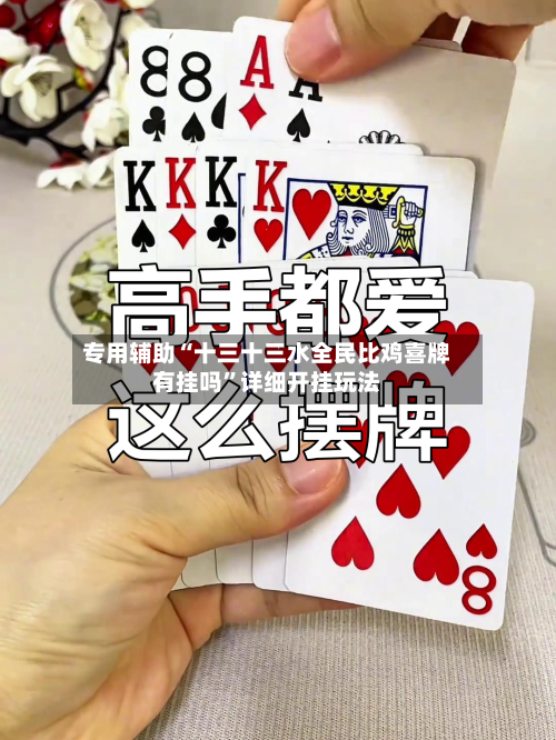 专用辅助“十三十三水全民比鸡喜牌有挂吗”详细开挂玩法-第2张图片