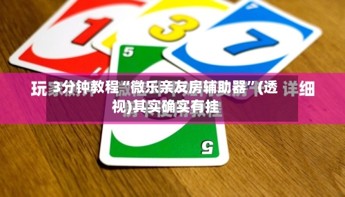 3分钟教程“微乐亲友房辅助器	”(透视)其实确实有挂-第2张图片