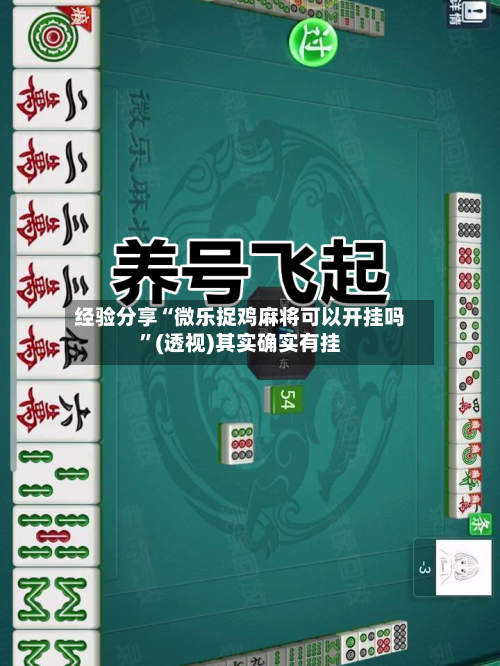 经验分享“微乐捉鸡麻将可以开挂吗”(透视)其实确实有挂-第1张图片