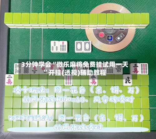 3分钟学会“微乐麻将免费挂试用一天	”开挂(透视)辅助教程-第2张图片