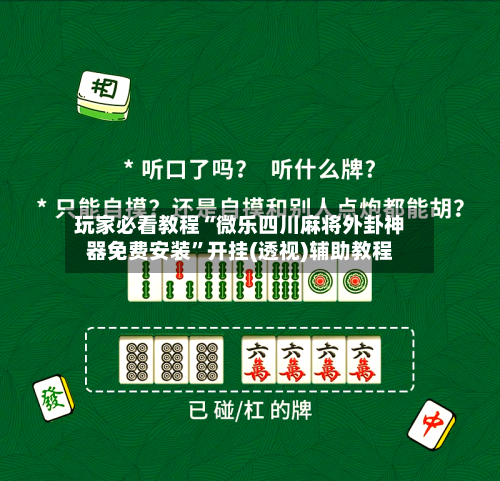 玩家必看教程“微乐四川麻将外卦神器免费安装”开挂(透视)辅助教程-第3张图片