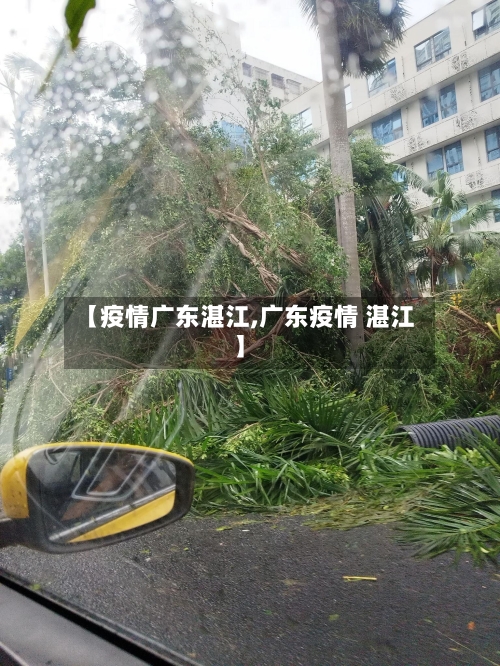 【疫情广东湛江,广东疫情 湛江】-第1张图片