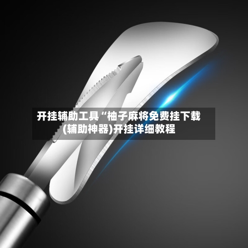 开挂辅助工具“柚子麻将免费挂下载(辅助神器)开挂详细教程-第1张图片