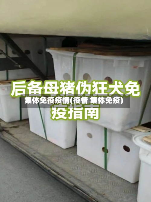 集体免疫疫情(疫情 集体免疫)-第1张图片