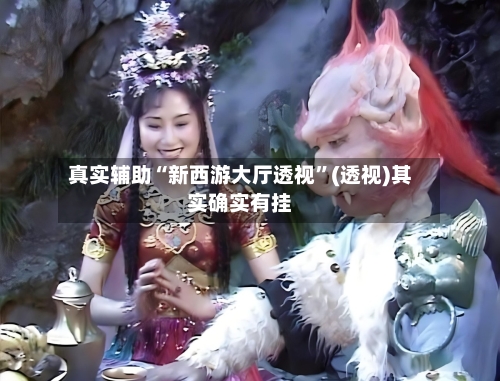 真实辅助“新西游大厅透视	”(透视)其实确实有挂-第2张图片