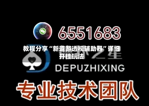 教程分享“新道游透视辅助器”详细开挂玩法-第2张图片