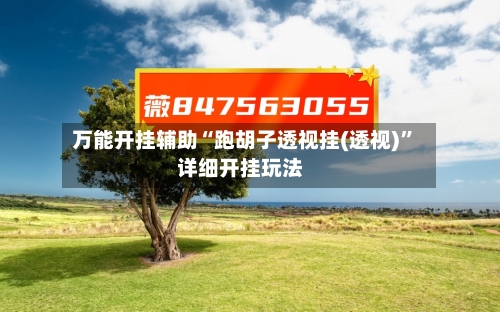 万能开挂辅助“跑胡子透视挂(透视)”详细开挂玩法-第3张图片