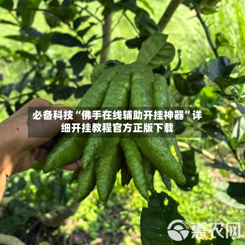 必备科技“佛手在线辅助开挂神器”详细开挂教程官方正版下载-第1张图片
